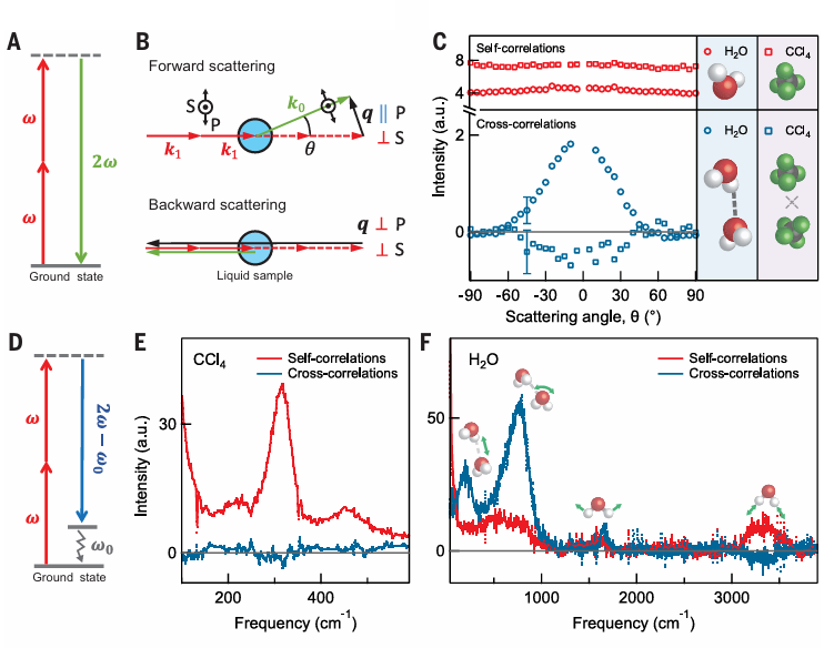 理解反应机理的关键：氢键网络的协同效应与研究前沿