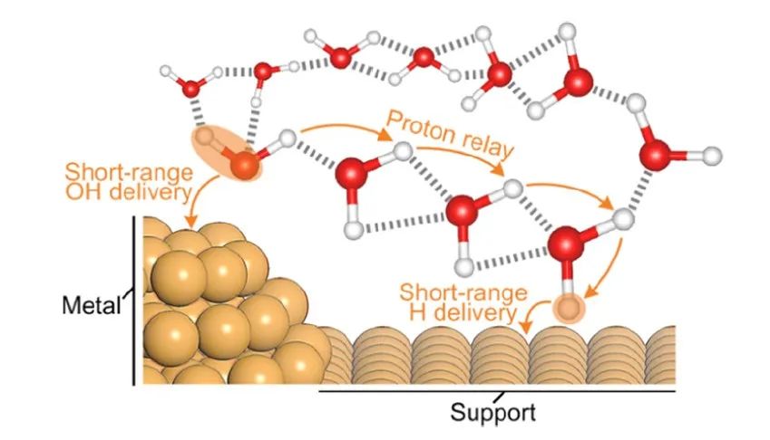 理解反应机理的关键：氢键网络的协同效应与研究前沿