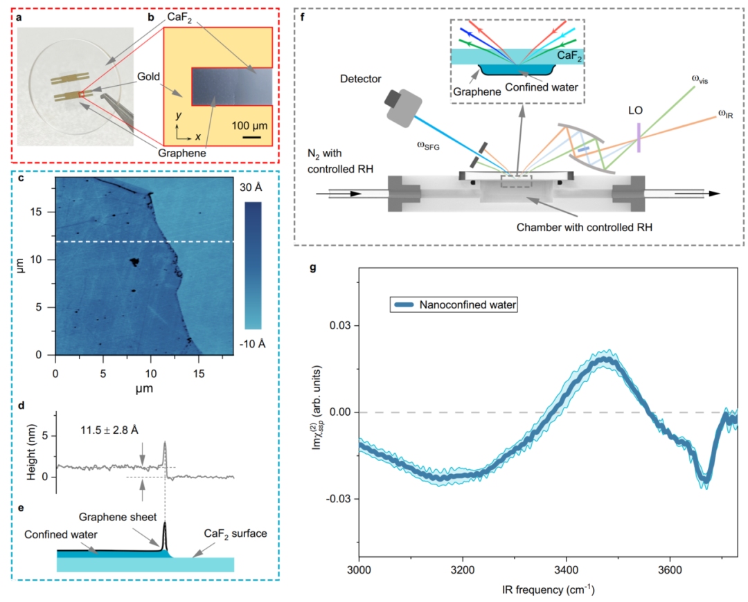 限域效应 VS 界面效应