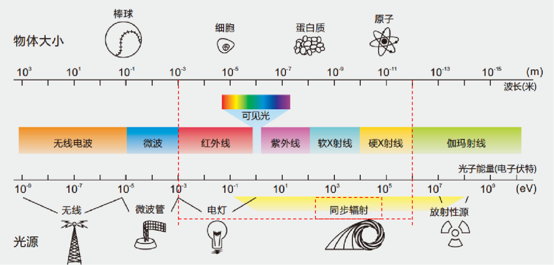 小课堂 | 同步辐射究竟是啥？