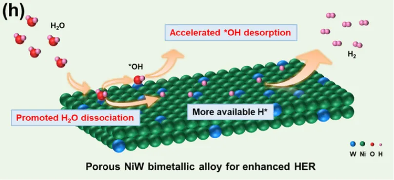 活性位点：定义、公式与表征方法全解析