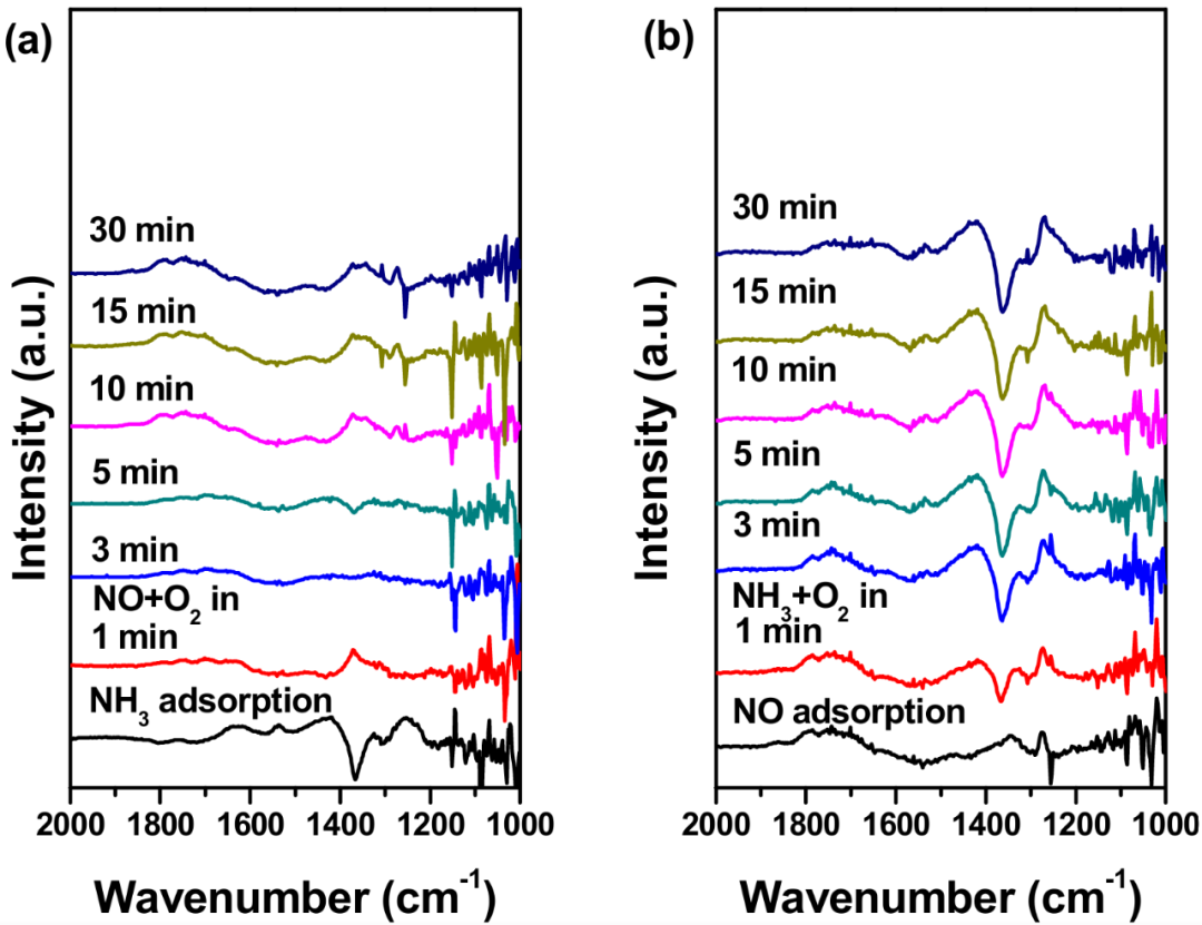 揭示电催化剂中毒：从原子层面机理到性能衰退的量化与前沿表征