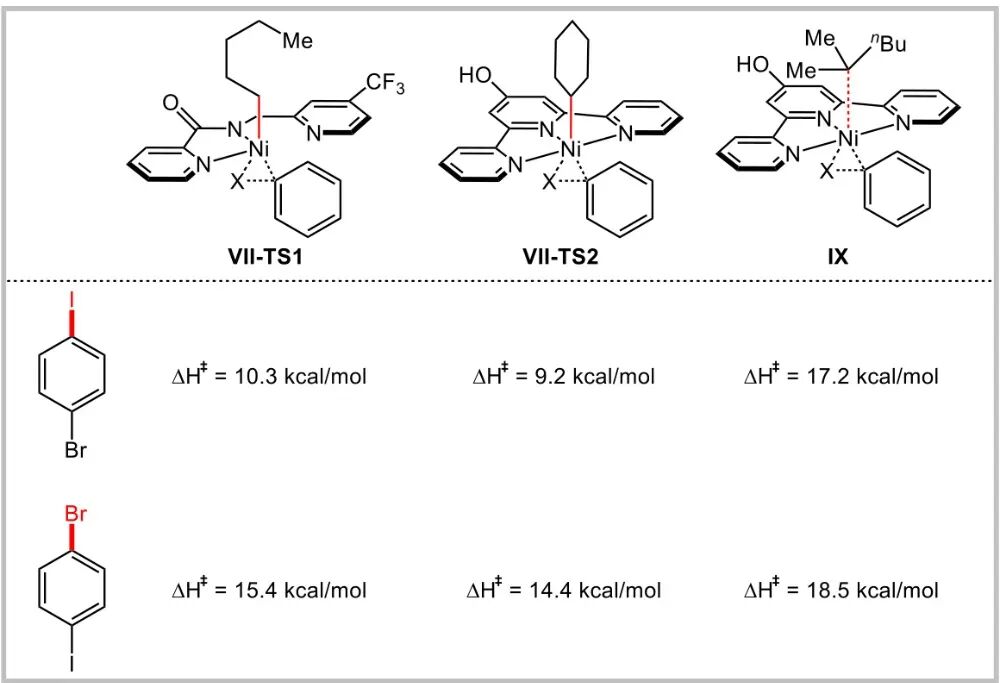 过渡态与活化能：定义、理论基础及应用解析