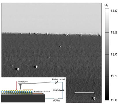 如何表征异质结？TEM看结构、XPS测成分、PL探激子 多技术协同指南