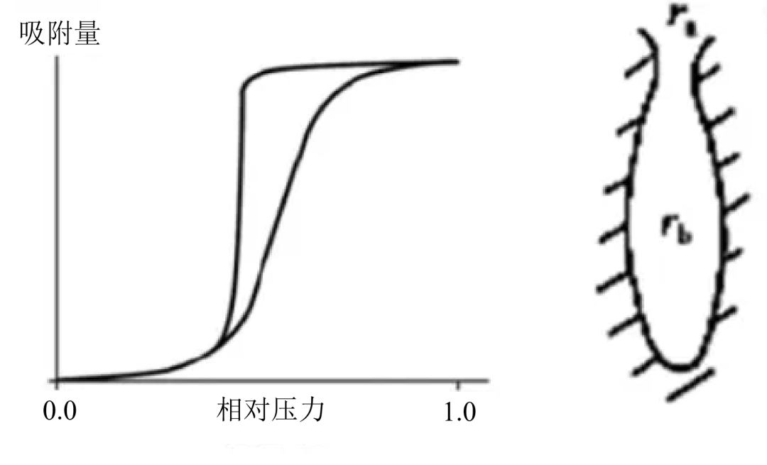 材料比表面积和孔径分析（BET）