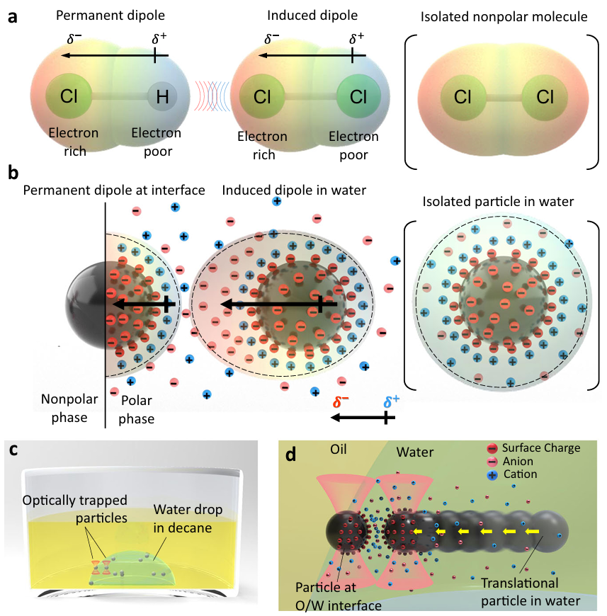 纳米颗粒：定义、团聚/分散机制及表征策略