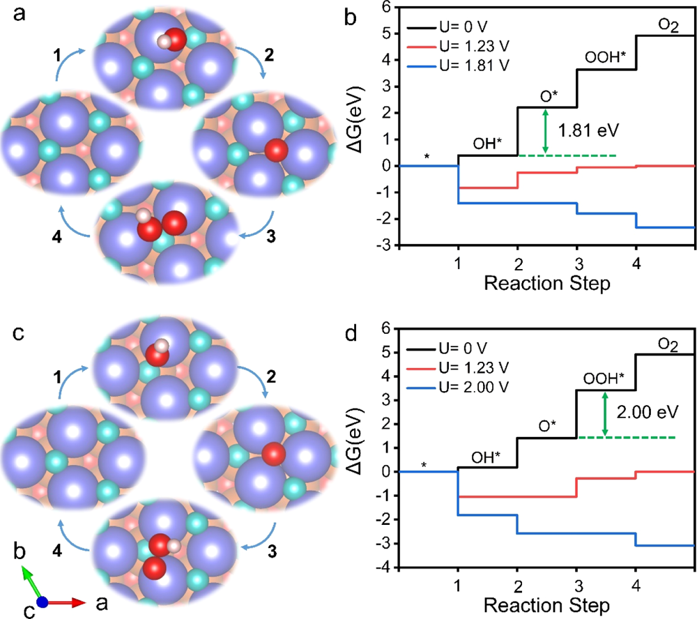 过电位的全貌：概念、来源与测定方法