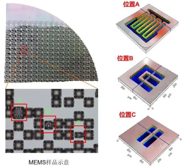 激光共聚焦显微镜（二）功能及应用领域