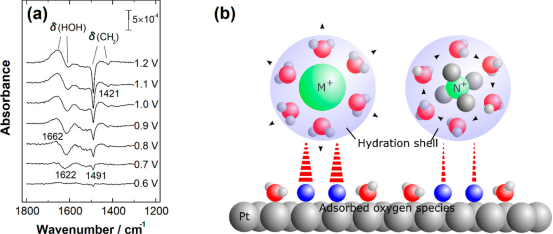 阳离子效应：定义、机制与催化/能源/材料领域的应用全景
