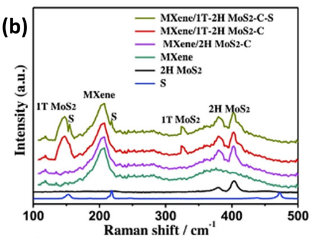 什么是活性位点？