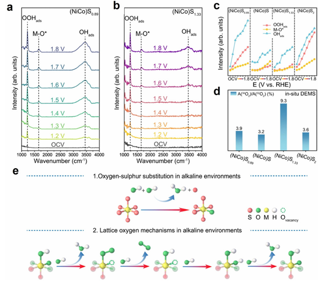 内建电场赋能多反应体系：形成机制、表征方法及应用解析