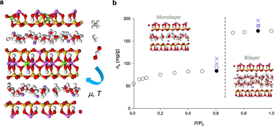孔道限域效应：定义、核心机制及多领域应用实践
