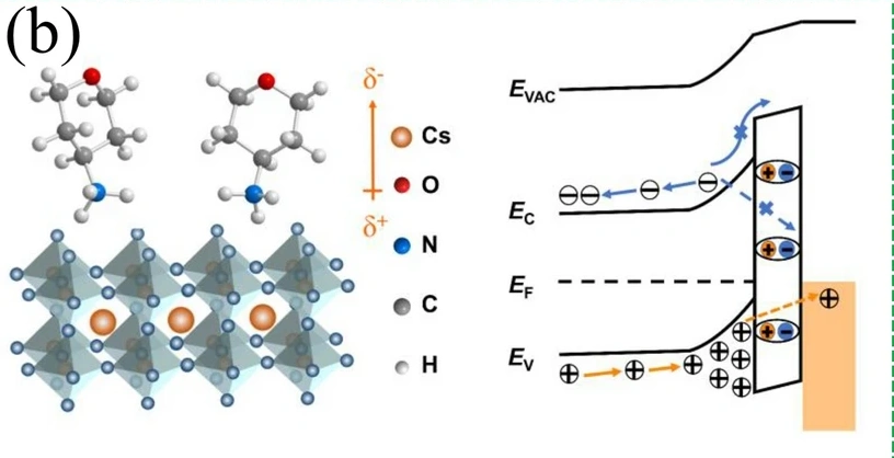 费米能级上移与下移：调控机制（掺杂 / 电场 / 光照等）及 UPS/XPS/KPFM 表征全解析
