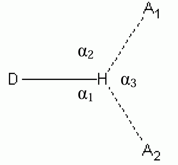 氢键如何影响化学性质？基于热力学稳定性与动力学活性的综合分析