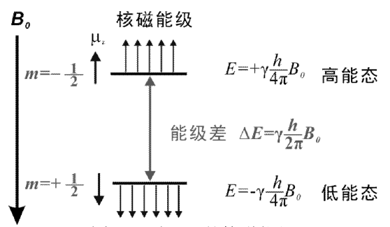 核磁共振波谱 NMR 的知识你了解多少？