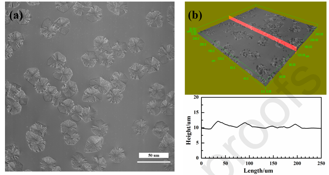 深度对比：单晶与多晶的结构、性能及形核生长行为差异