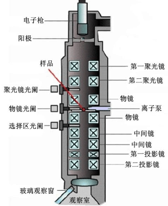 电子显微镜入门（下）：透射电镜（TEM）成像逻辑、EDS/EELS 联用技术与典型应用