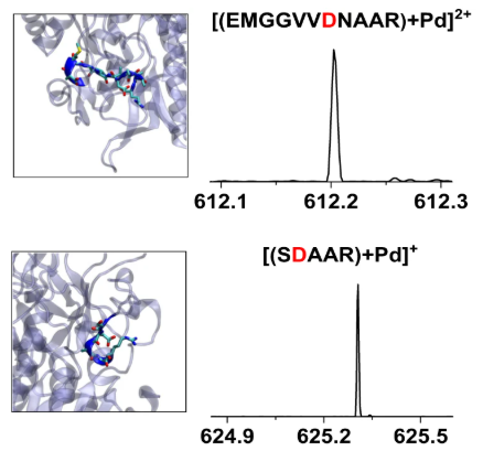 协同催化入门必读：定义、分类及电子调控实战