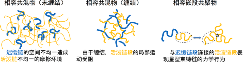 什么是“玻璃化转变温度”？定义、转变机制、与熔点的本质区别及材料设计的关键作用