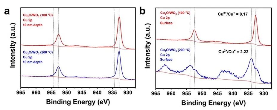 电催化材料 XPS 分析指南：从原理实操到案例误区解析