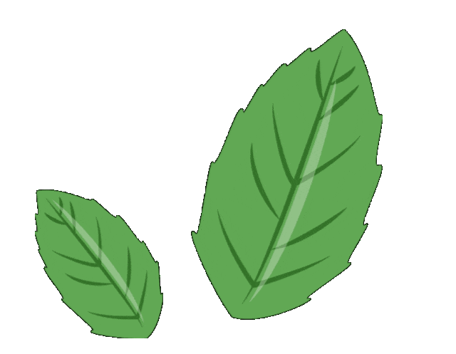 成分分析技术——气相色谱-质谱 GC-MS 联用（一）