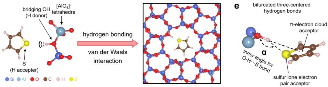 氢键如何影响化学性质？基于热力学稳定性与动力学活性的综合分析