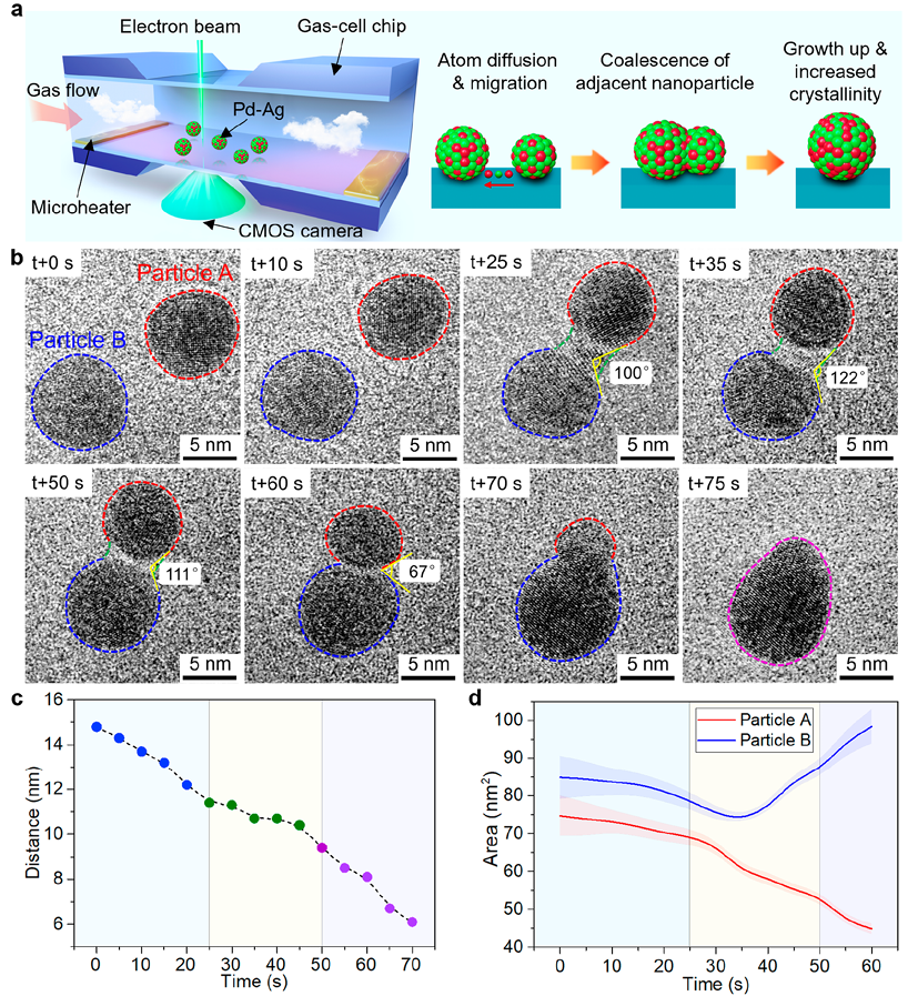 原位透射电镜（In-situ TEM）技术解读！