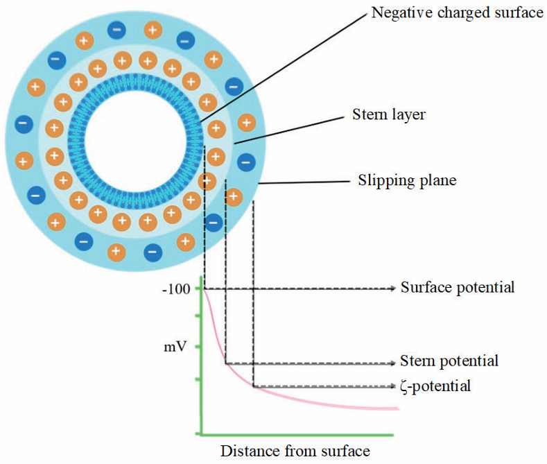 Zeta电位：表征颗粒表面电荷的关键指标与测量方法详解