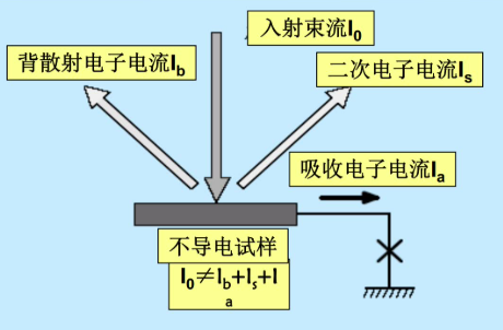 五大电镜测试技术总结！SEM、TEM、ESEM、EDS、EBSD
