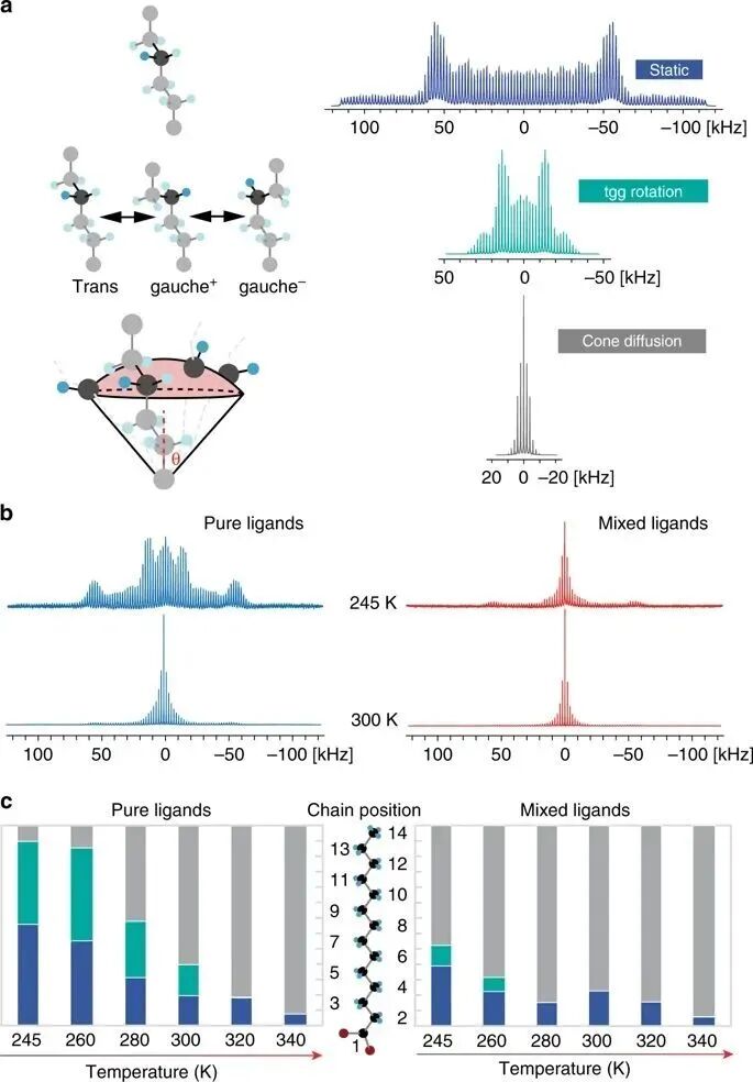 固体核磁技术在各领域研究中的应用