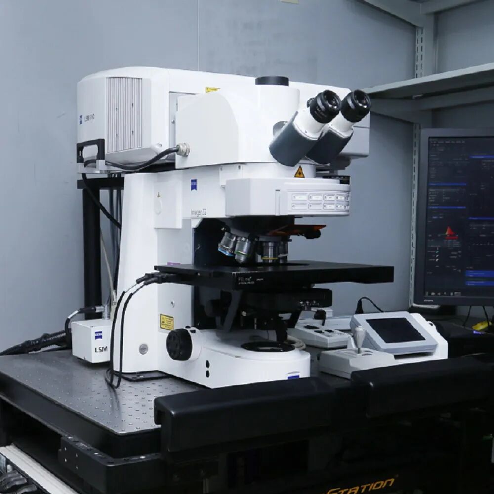 激光共聚焦显微镜（二）功能及应用领域