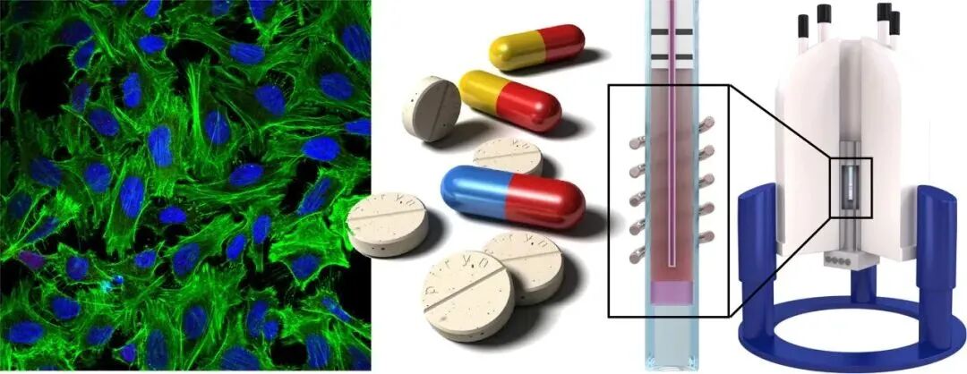 核磁共振波谱 NMR 的知识你了解多少？