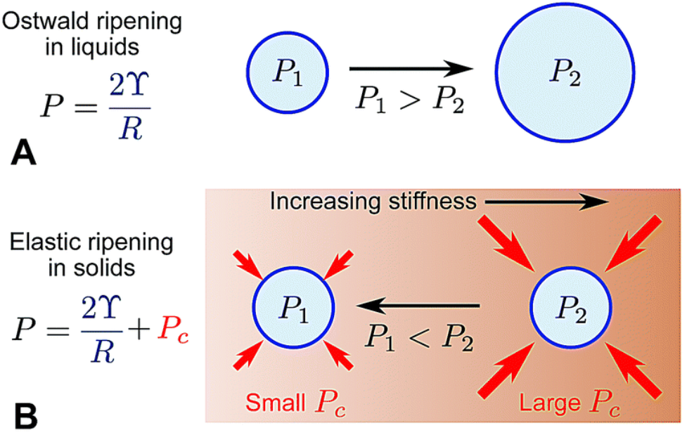奥斯瓦尔德熟化：热力学驱动的颗粒尺寸重构及其调控与应用