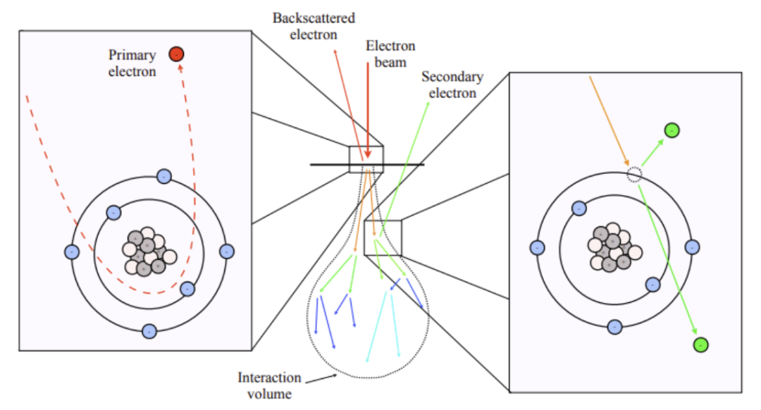 五种电子显微表征技术（SEM, TEM, ESEM, EDS, EBSD）的原理与应用对比