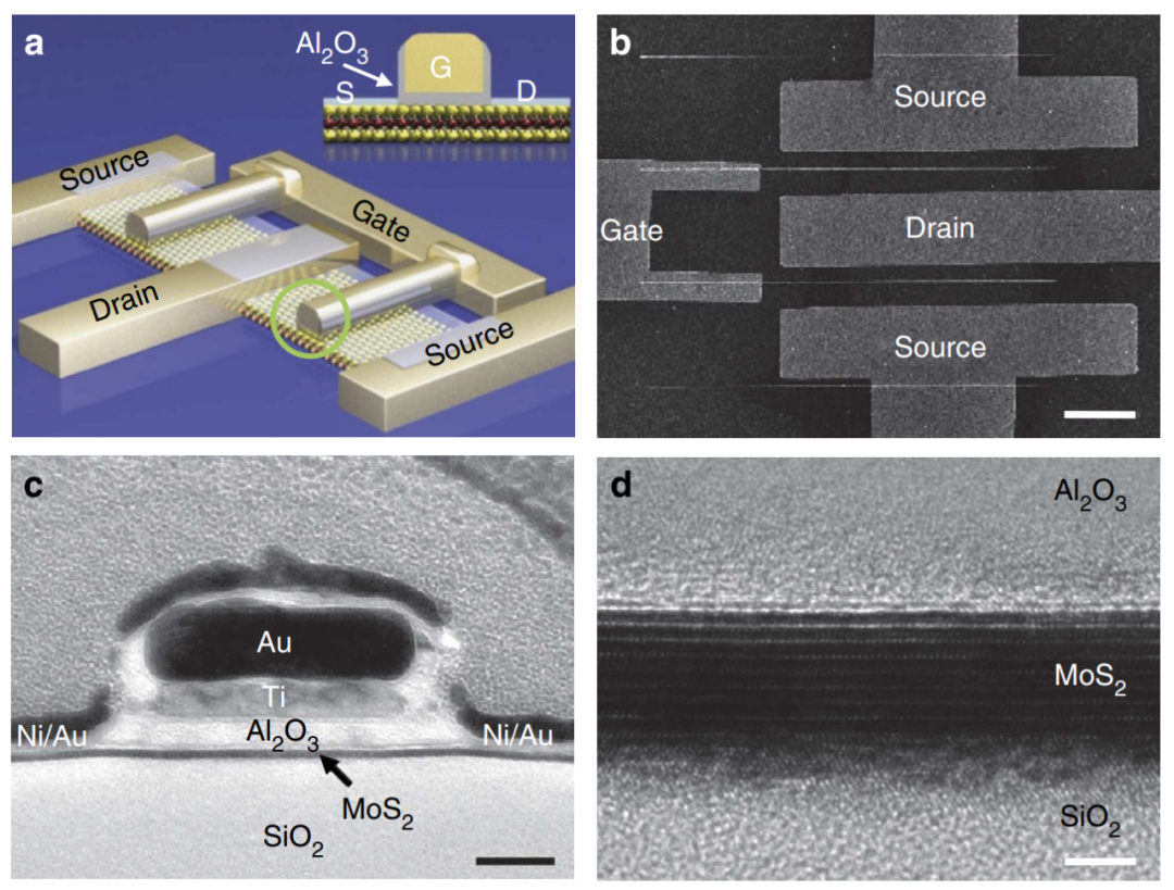 载流子基础理论与应用：类型、关键参数及调控表征方法