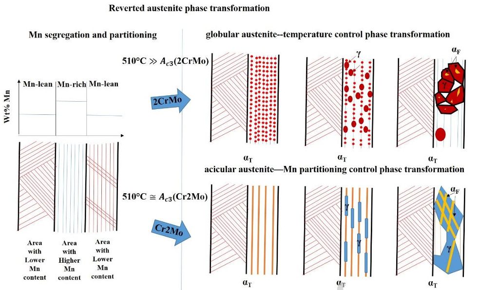 深度对比：单晶与多晶的结构、性能及形核生长行为差异