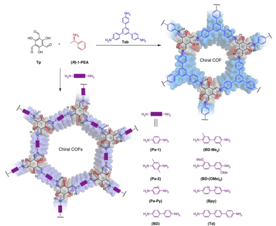 孔道限域效应：定义、核心机制及多领域应用实践