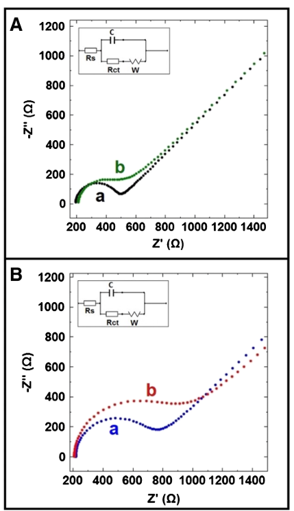 电化学阻抗谱(EIS)详解：原理、Nyquist/Bode图示与等效电路建模