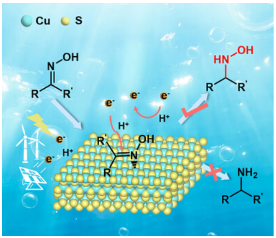 小分子转化技术：定义、作用及优化策略