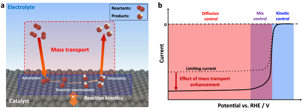 电化学测试八大方法：CV/EIS/Tafel斜率与催化性能研究