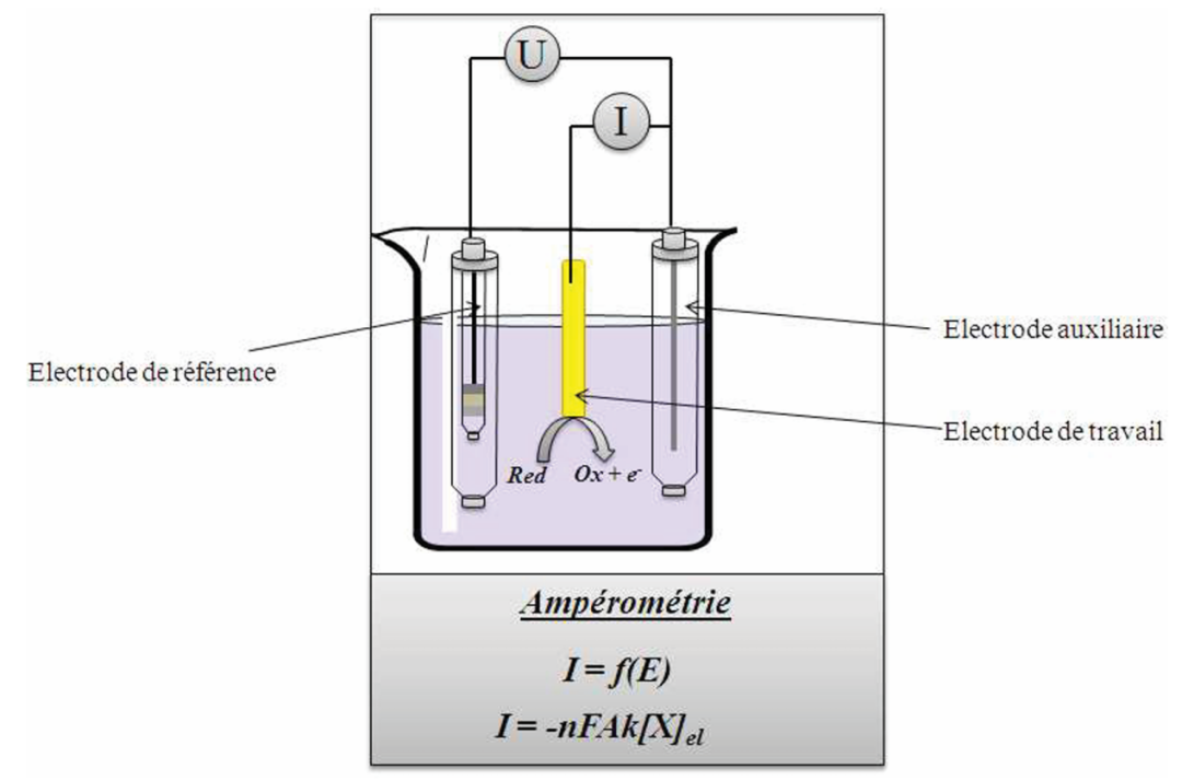 从理论到应用：电化学阻抗谱 EIS 的全面解析与多领域案例
