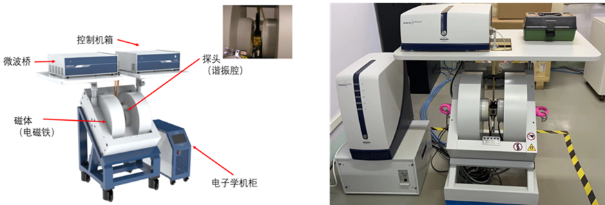 电子顺磁共振（EPR）的原理及应用