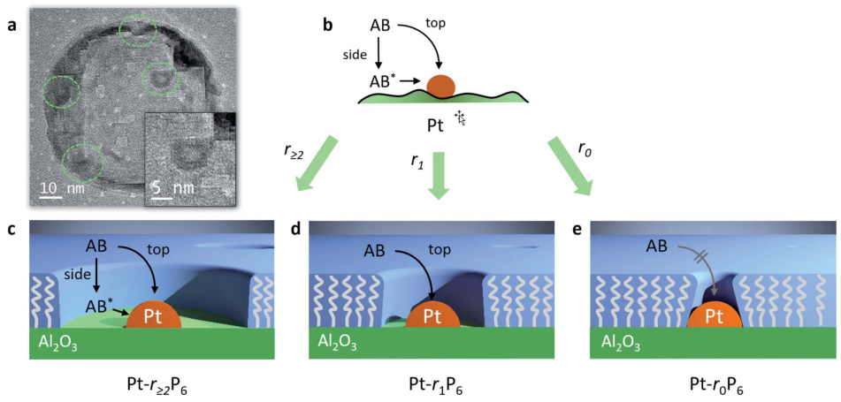 限域催化的理论与应用：系统阐述限域效应机制、典型材料与关键电催化反应