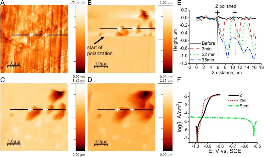 从原理到实战：原子力显微镜（AFM）工作机制及其在多领域的强大应用