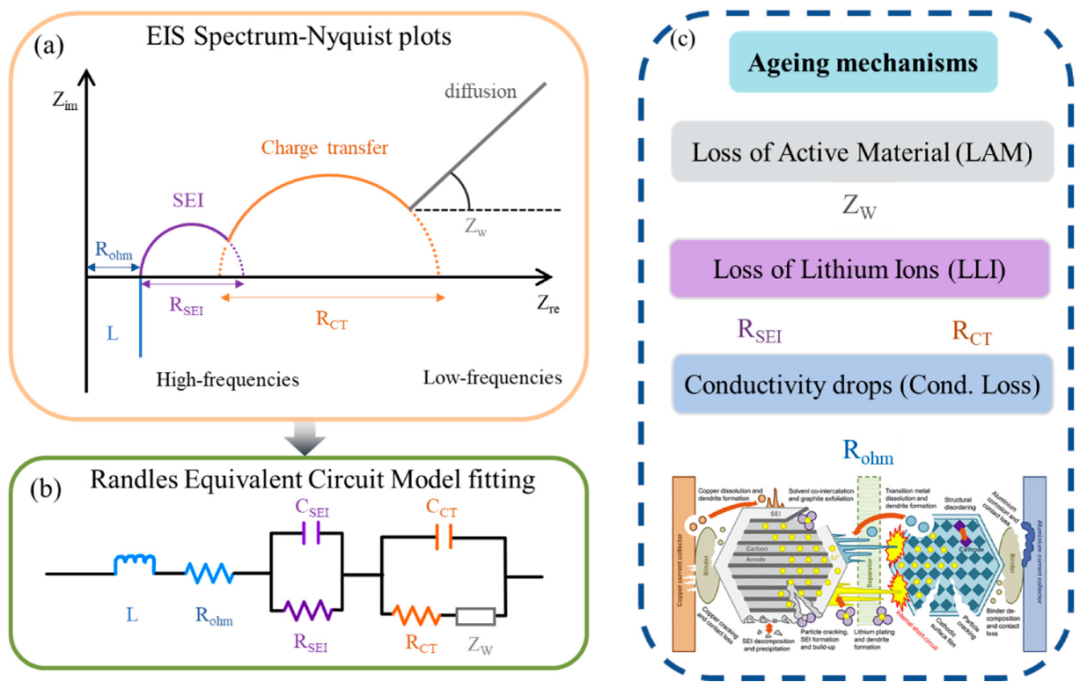 电化学阻抗谱(EIS)详解：原理、Nyquist/Bode图示与等效电路建模
