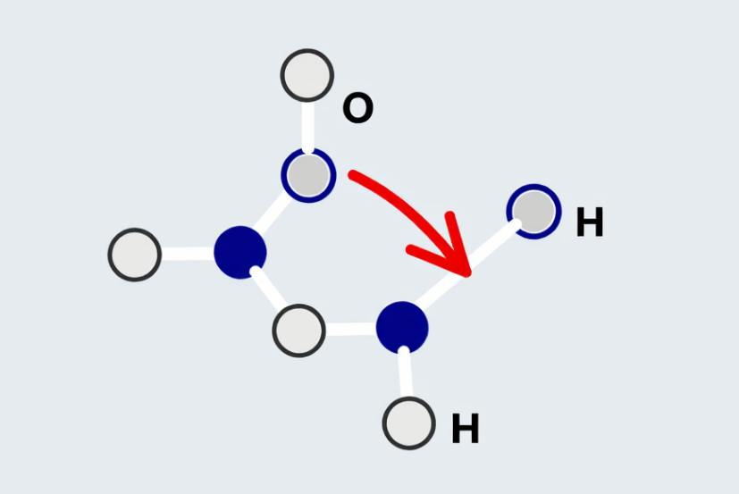 极性与极化有何不同？从分子键极性到多物理场电学行为的底层逻辑