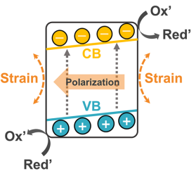什么是压电效应？解析物理机制及在催化中的四大功能（电子调控/电荷分离/自由基生成/无光催化）