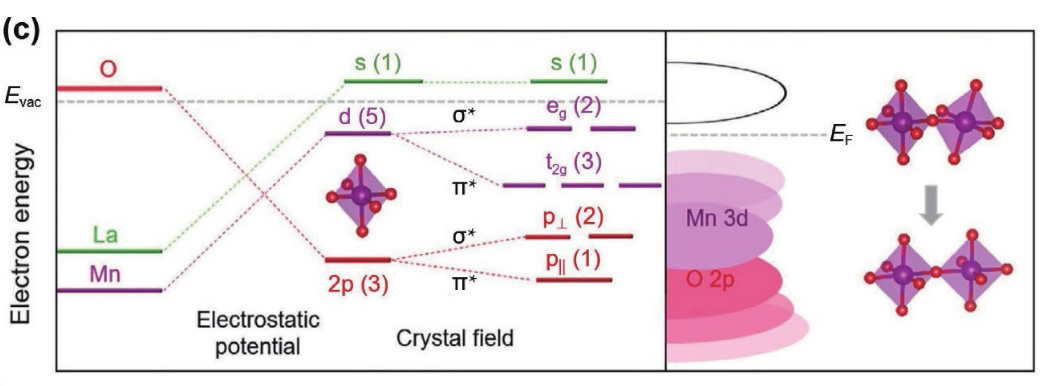 晶相工程：概念、调控策略及其在催化性能优化中的应用