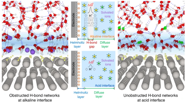 理解反应机理的关键：氢键网络的协同效应与研究前沿