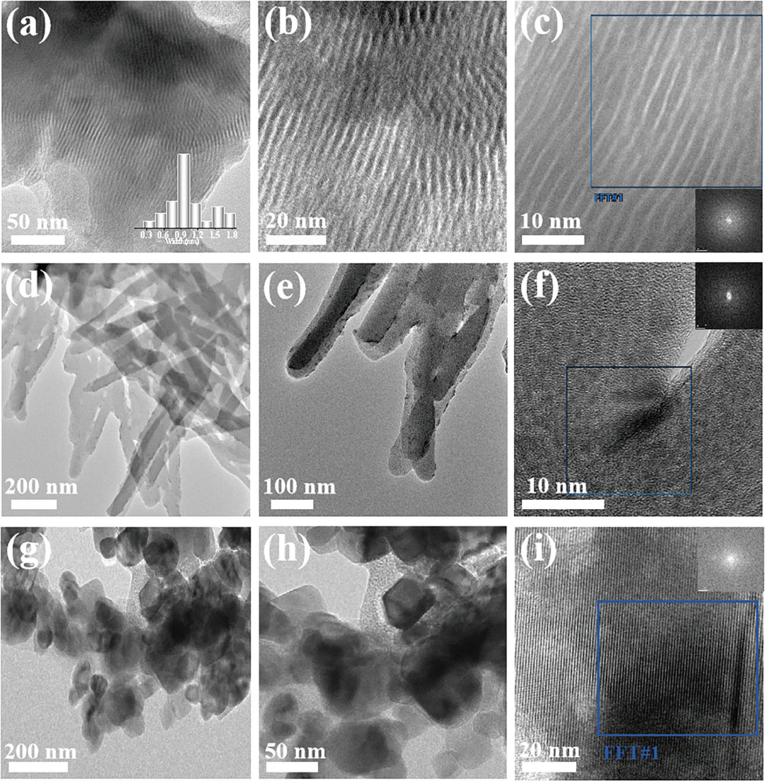 活性位点：定义、公式与表征方法全解析